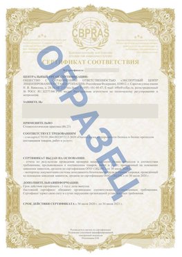 Образец Сертификат СТО 01.064.00220722.2-2020 Смоленск Сертификат СТО 01.064.00220722.2-2020 